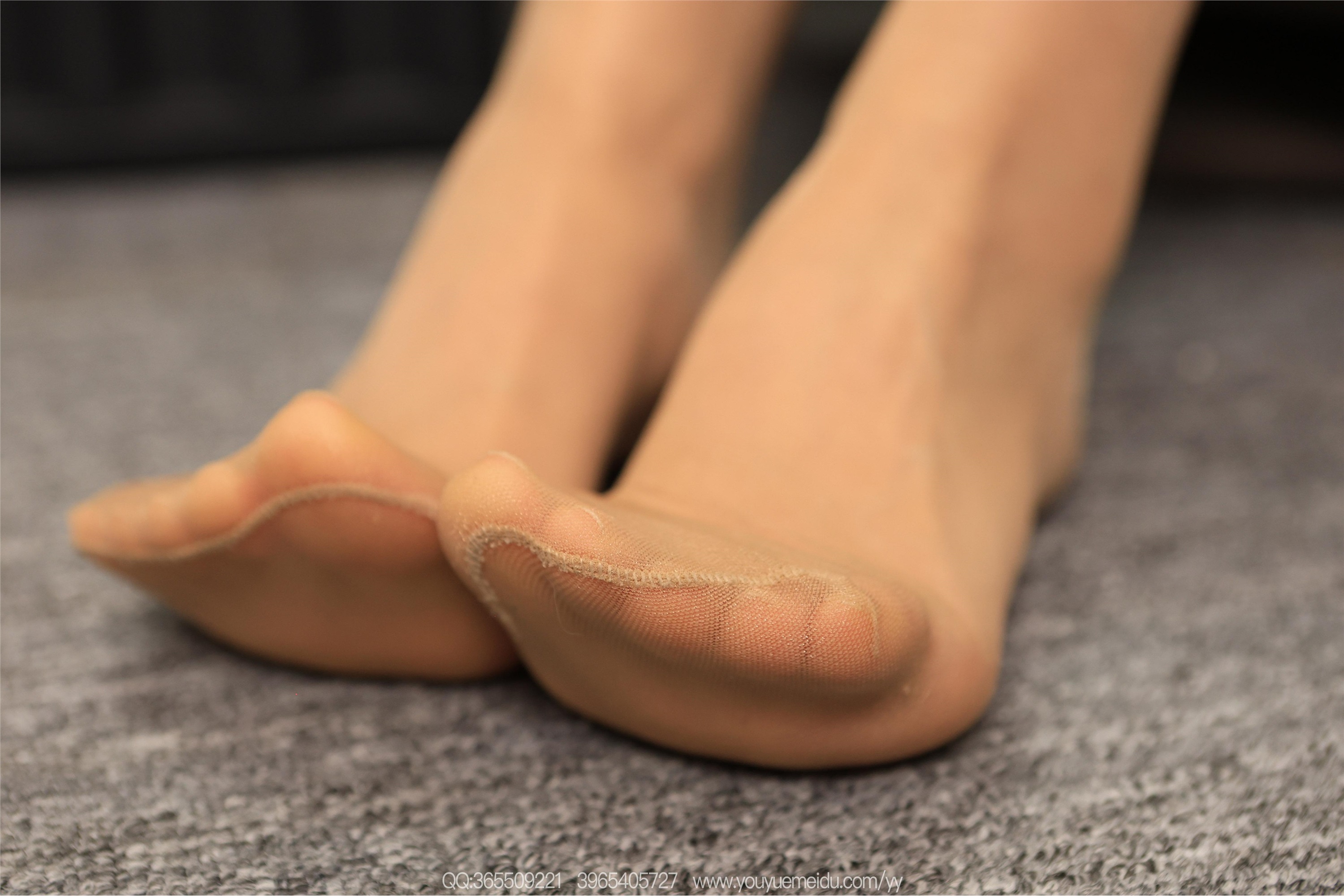 IESS异思趣向  2025.12.16 丝享家2239：小金《红红火火》